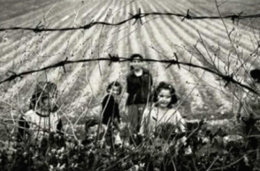 Liza Llesh Moli heroina që mbrojti pragun e shtëpisë