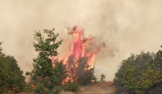 Shqipëria, ndër vendet më të rrezikuara nga zjarret në Europë