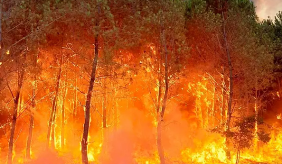 Kanë shpërthyer zjarret masive, rreth 6 mijë njerëz evakuohen, shkrumbohen fshatrat